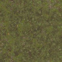 Asset preview